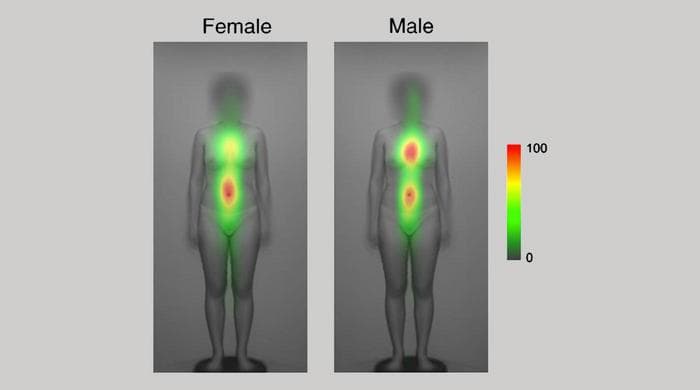 Eye movement while assessing attractiveness