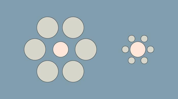 The Ebbinghaus illusion