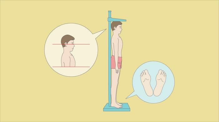 Техника измерения роста тела человека