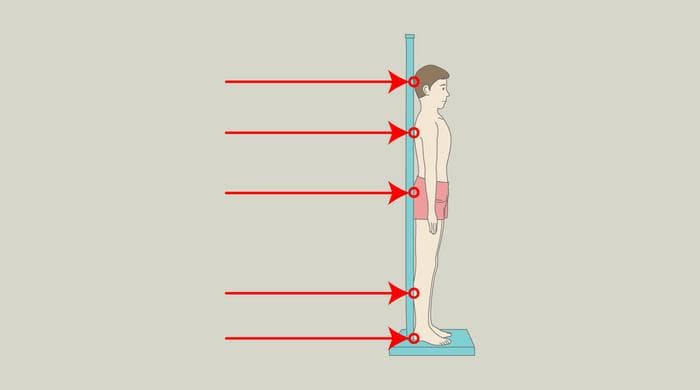 Recovering daily height loss